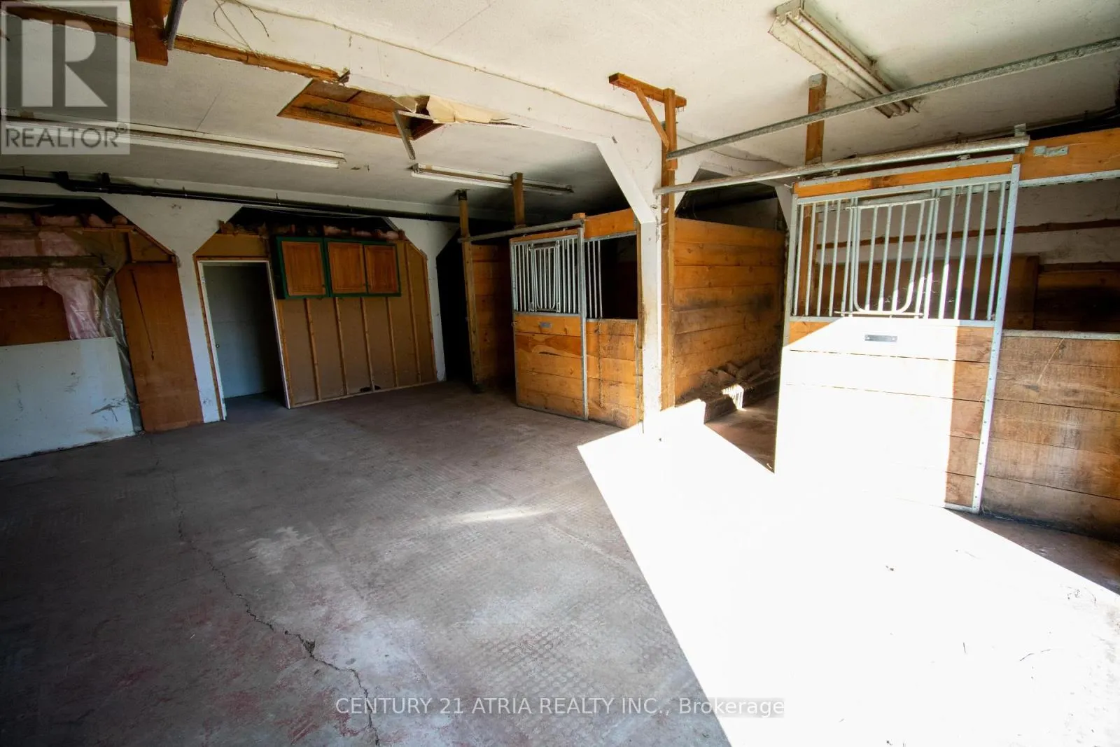 119 KNAPP STREET