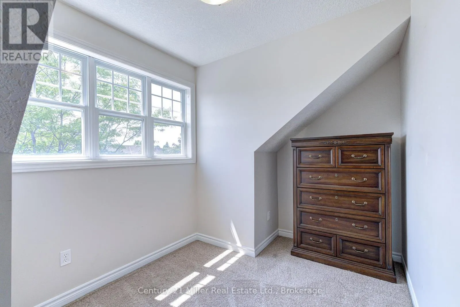 282 CARRINGTON DRIVE