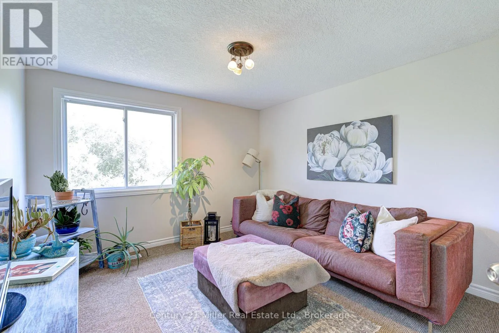282 CARRINGTON DRIVE