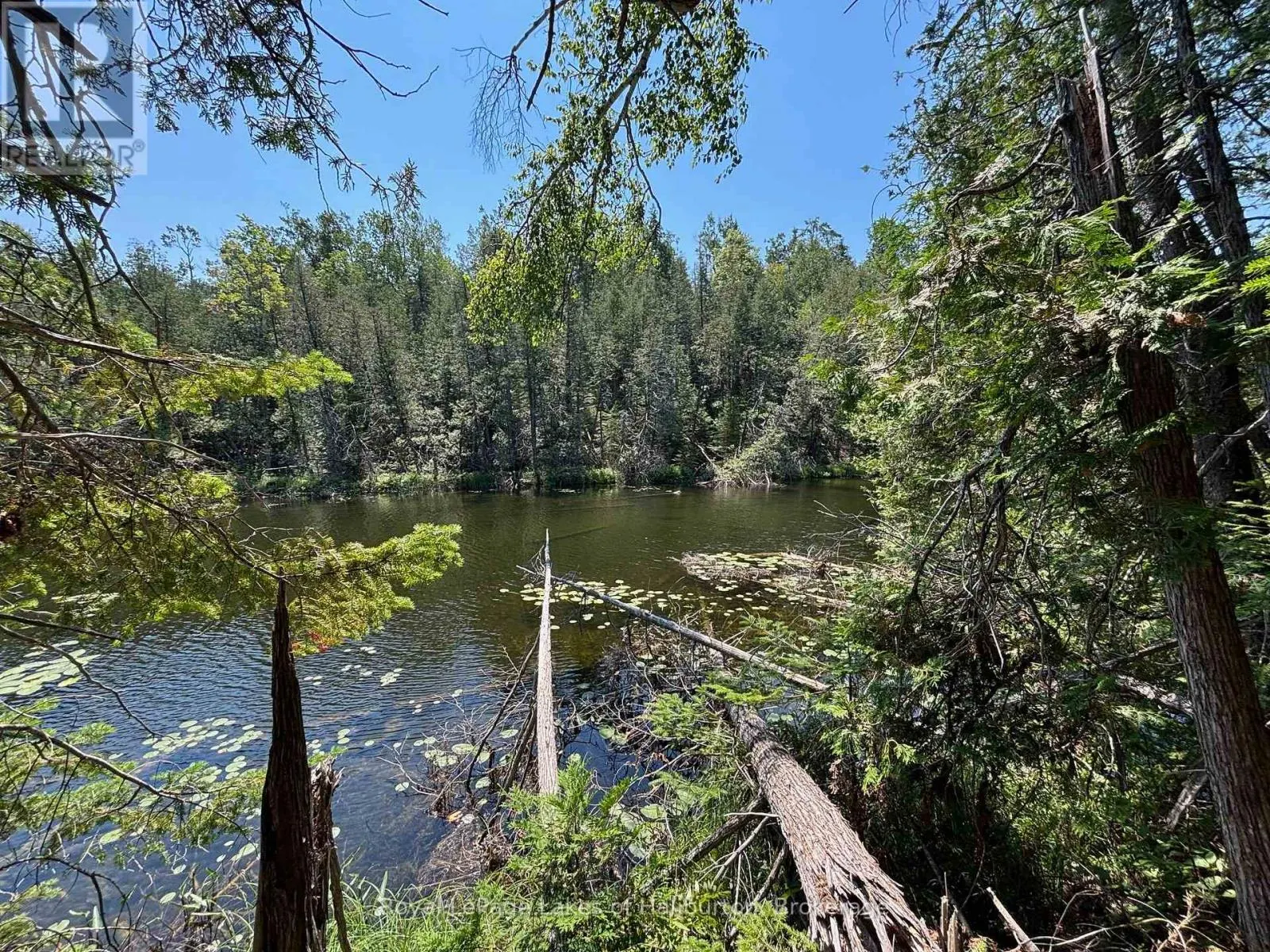 BESIDE 1456 CRYSTAL LAKE ROAD