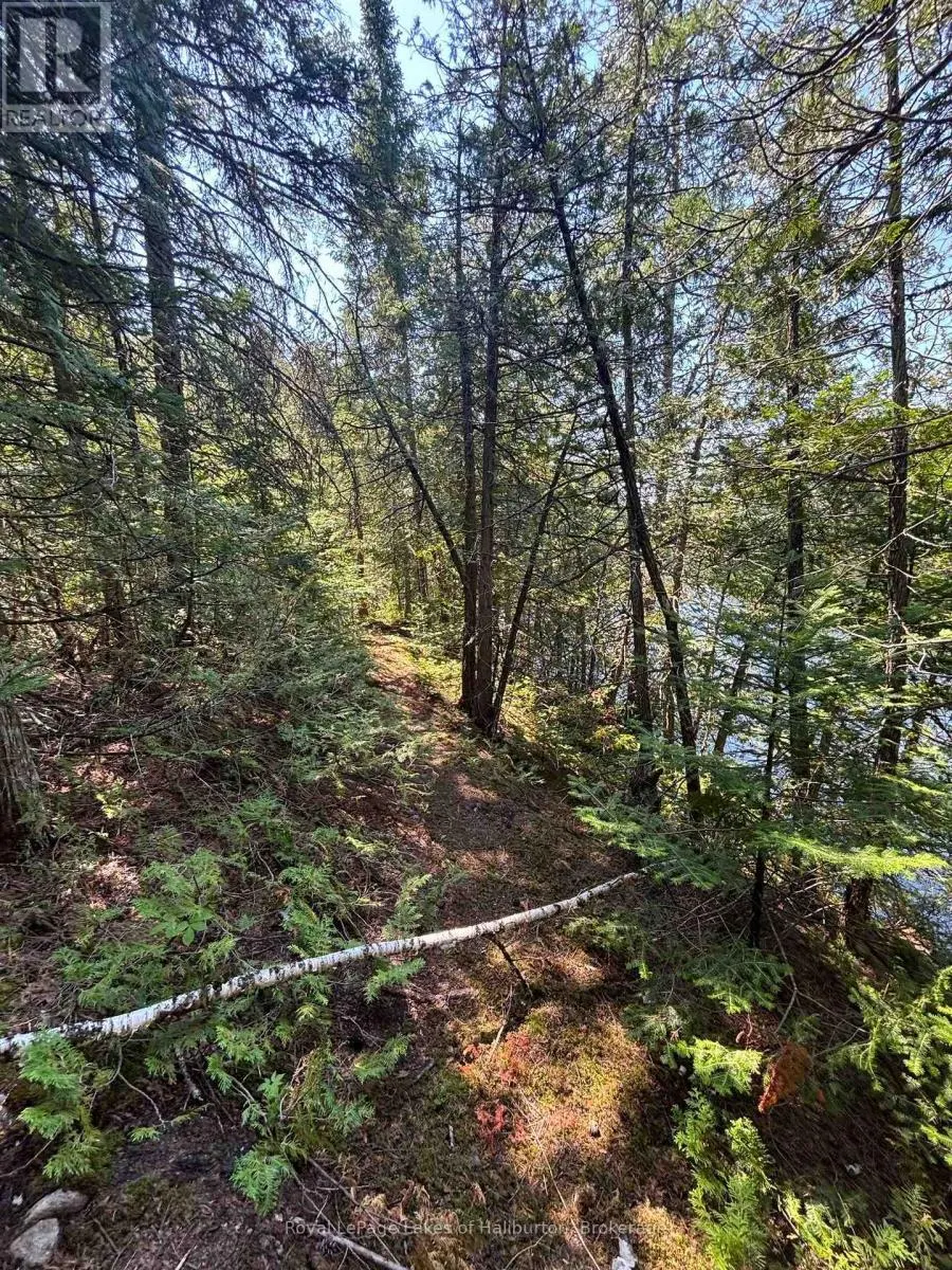 BESIDE 1456 CRYSTAL LAKE ROAD