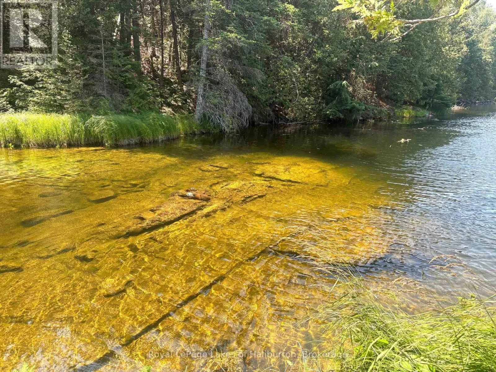 BESIDE 1456 CRYSTAL LAKE ROAD