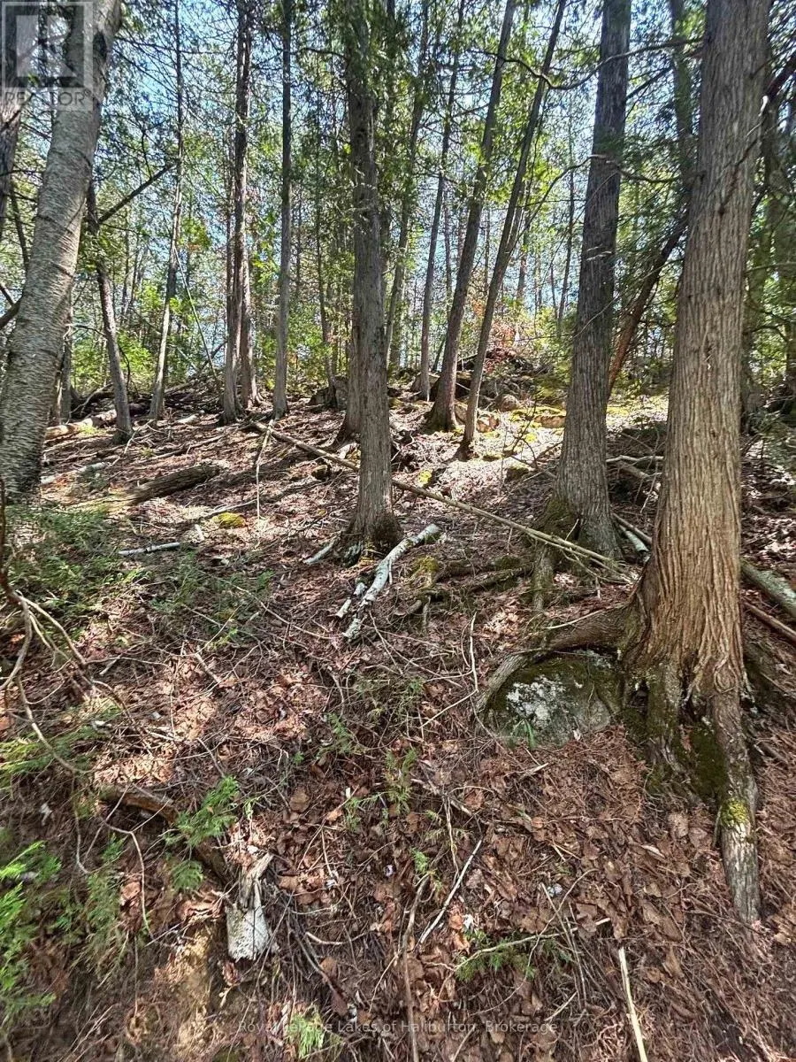 BESIDE 1456 CRYSTAL LAKE ROAD