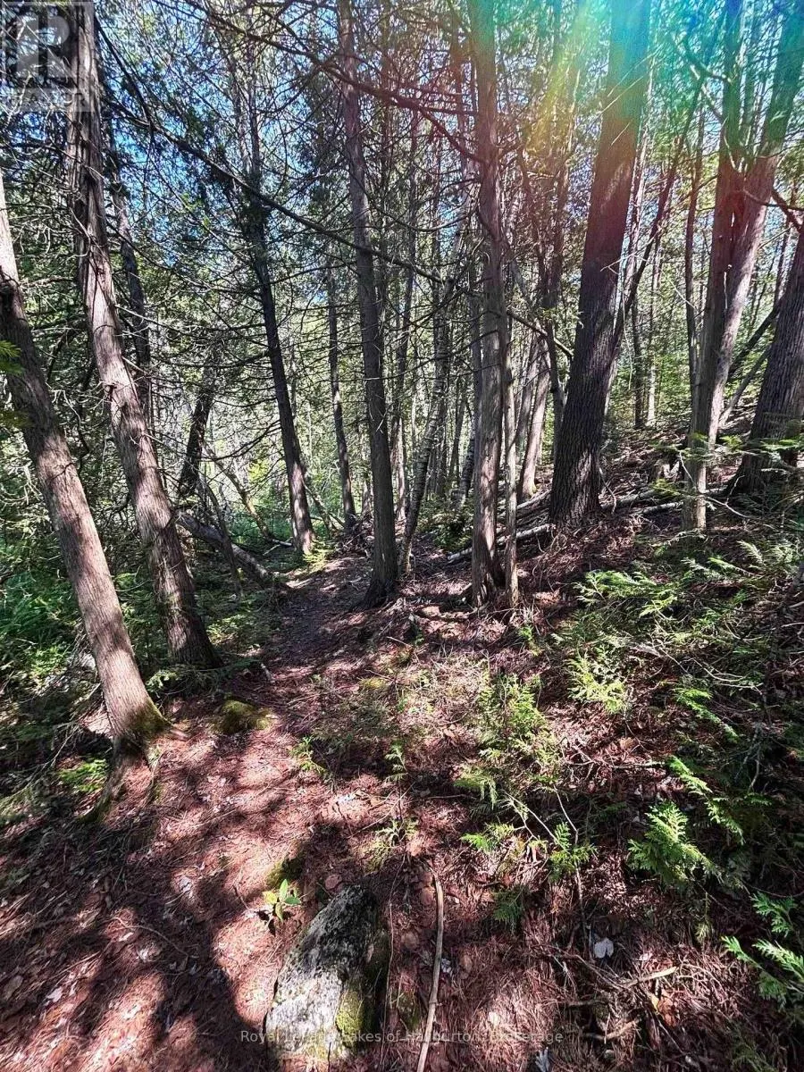 BESIDE 1456 CRYSTAL LAKE ROAD