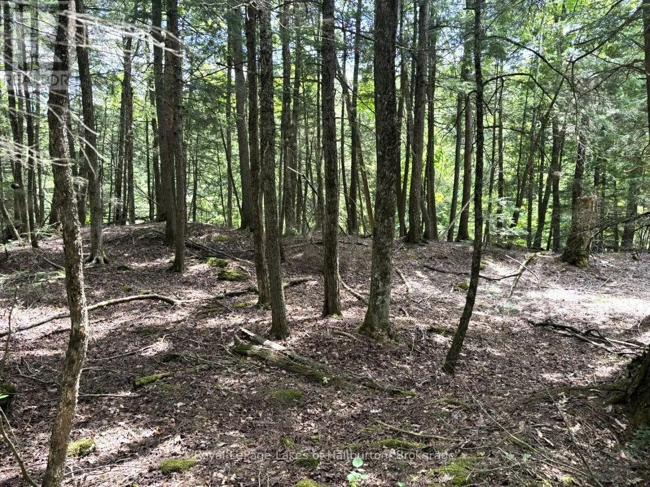 BESIDE 1456 CRYSTAL LAKE ROAD