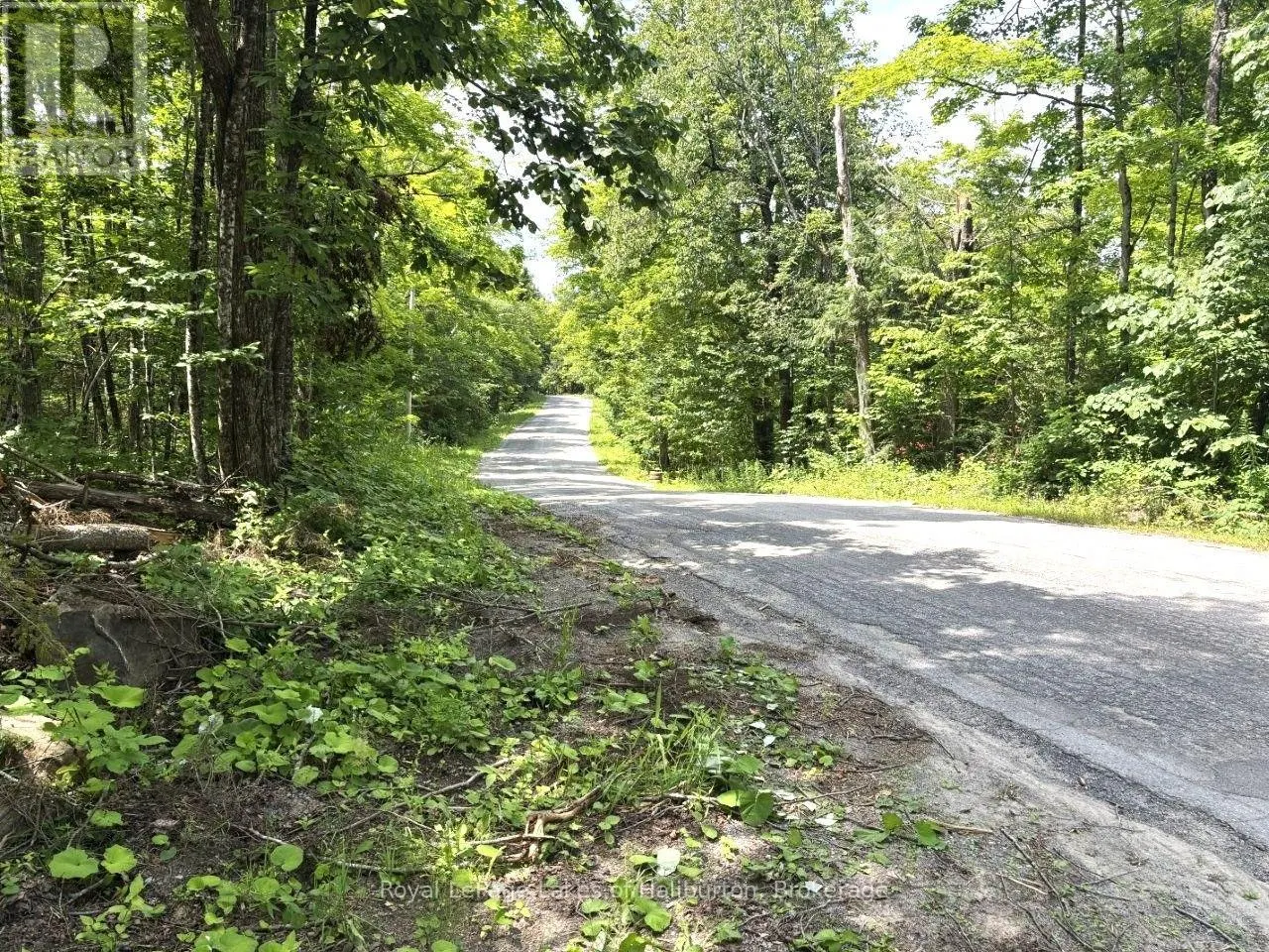 BESIDE 1456 CRYSTAL LAKE ROAD