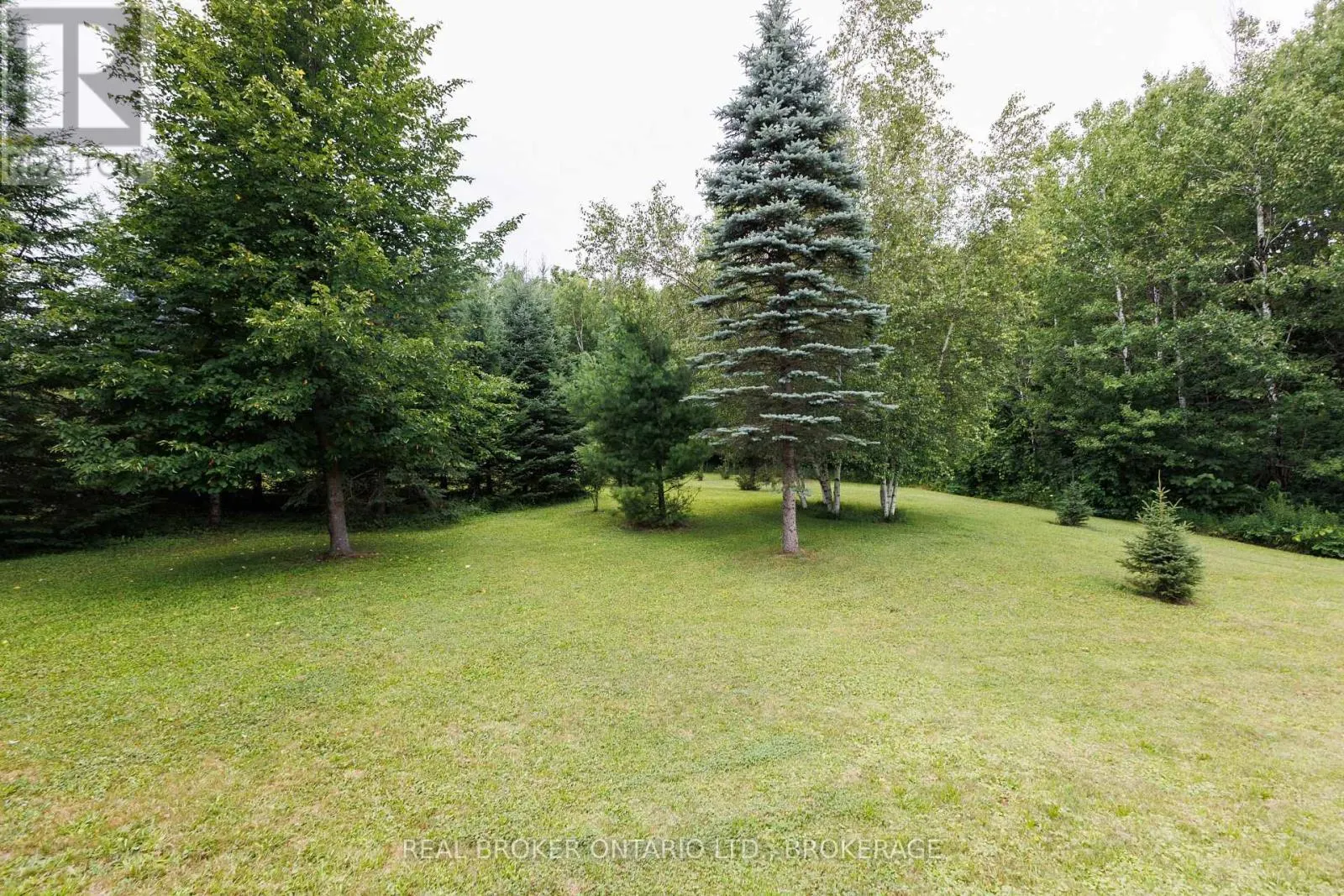 3213 DORNIE ROAD