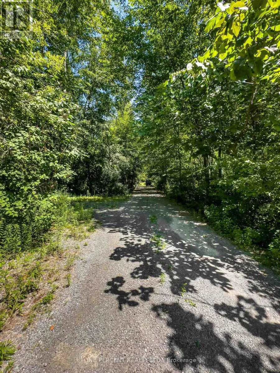 203 BULLIS ROAD
