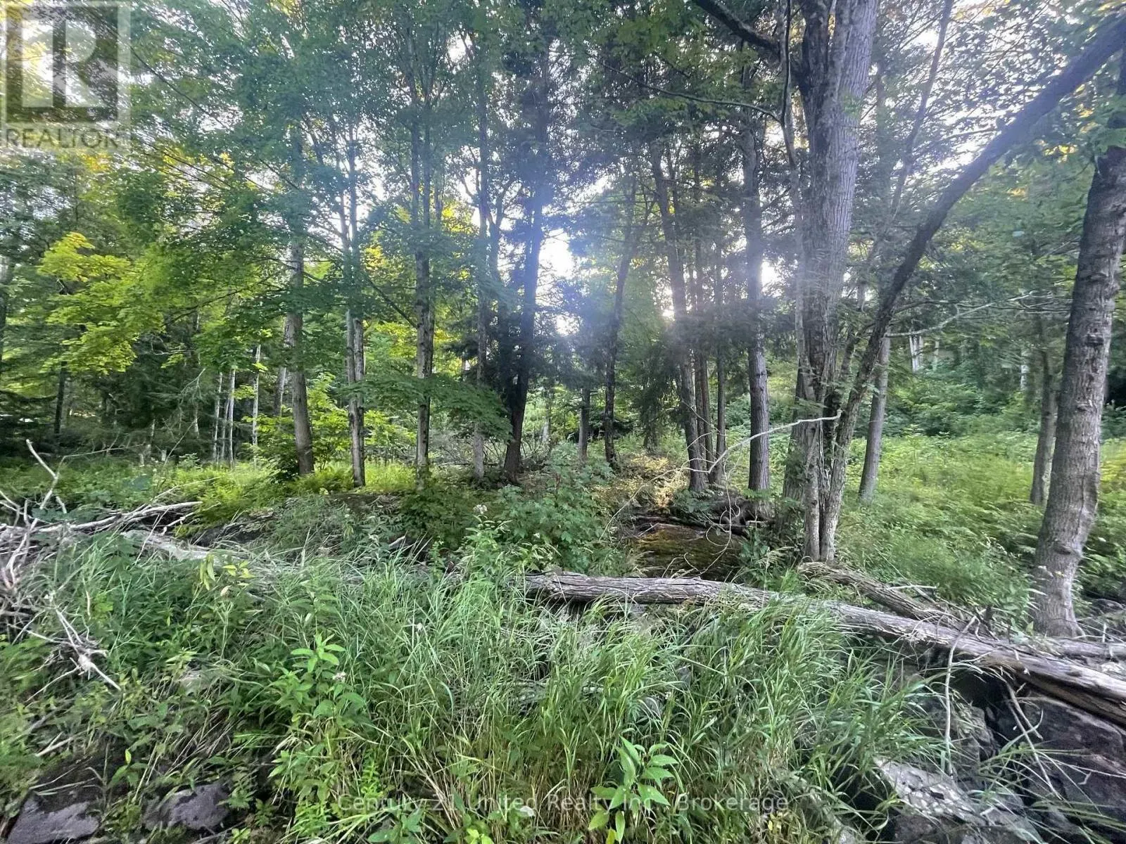LOT 86 KENNEDY DRIVE