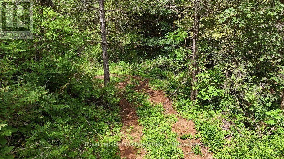 00 OTTER CREEK ROAD