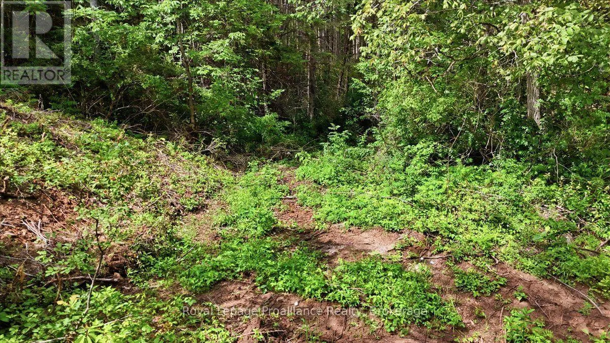 00 OTTER CREEK ROAD