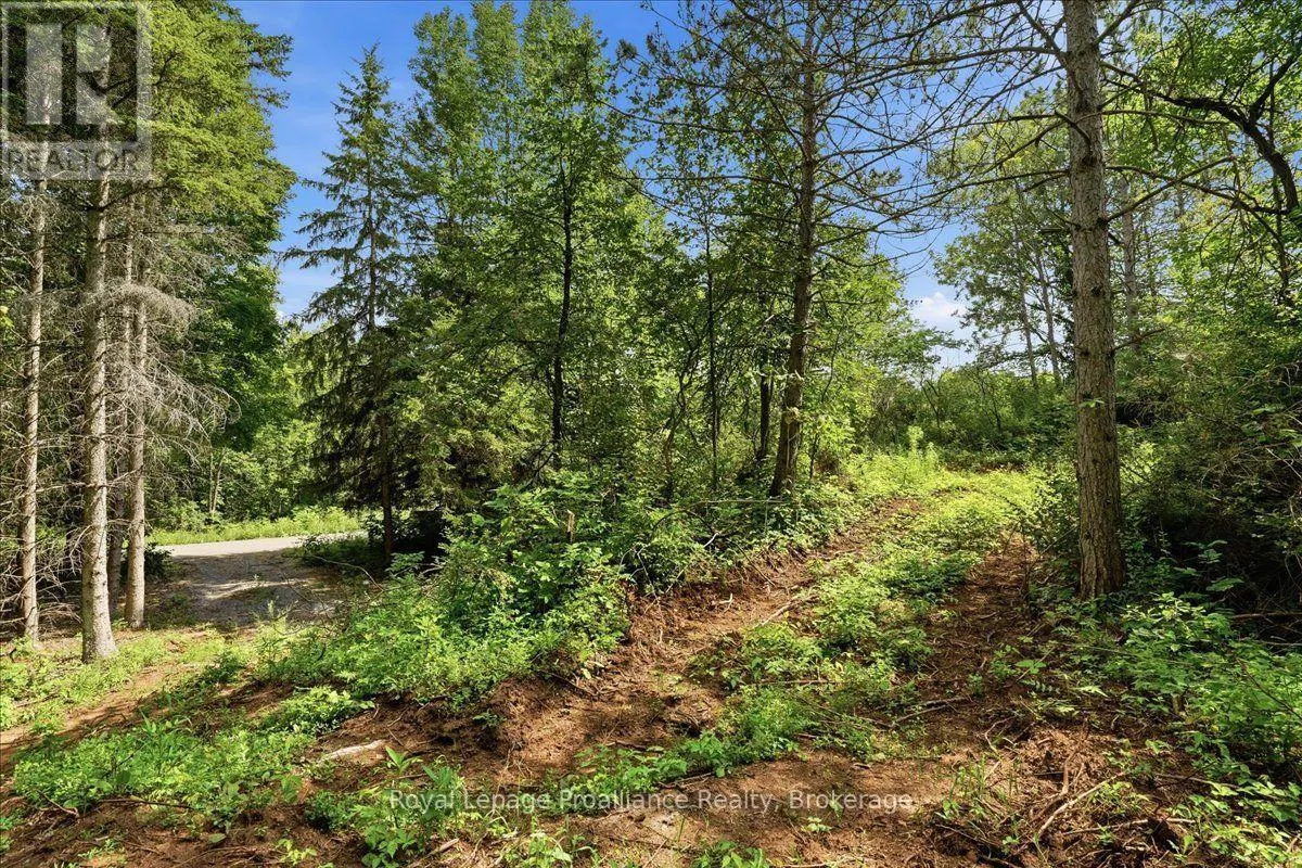 00 OTTER CREEK ROAD