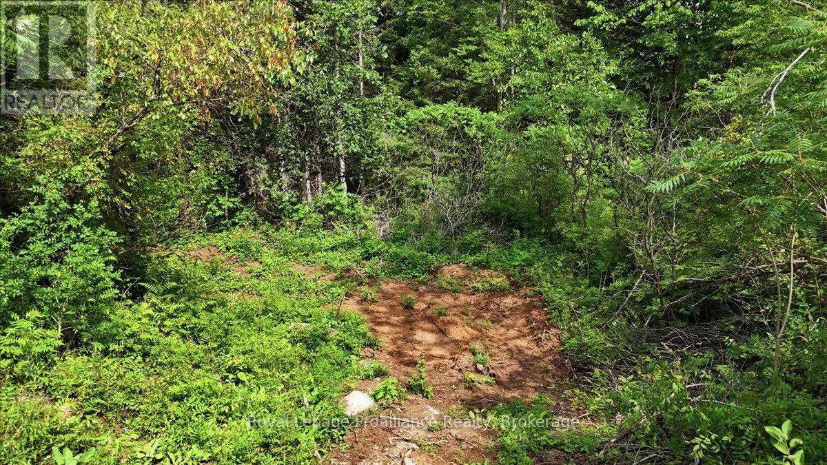 00 OTTER CREEK ROAD
