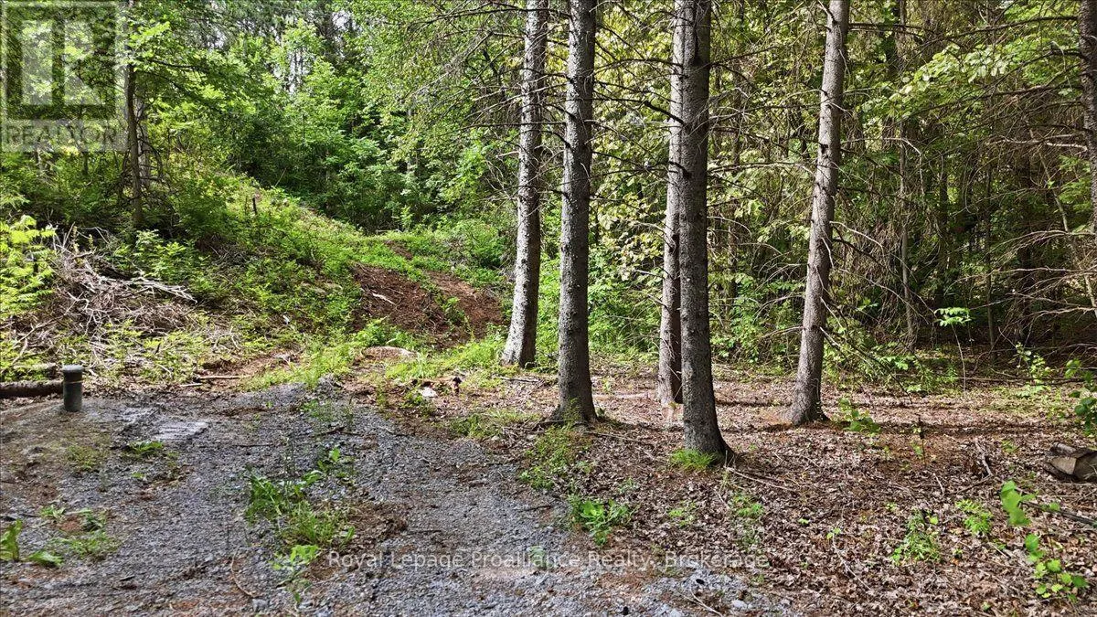 00 OTTER CREEK ROAD