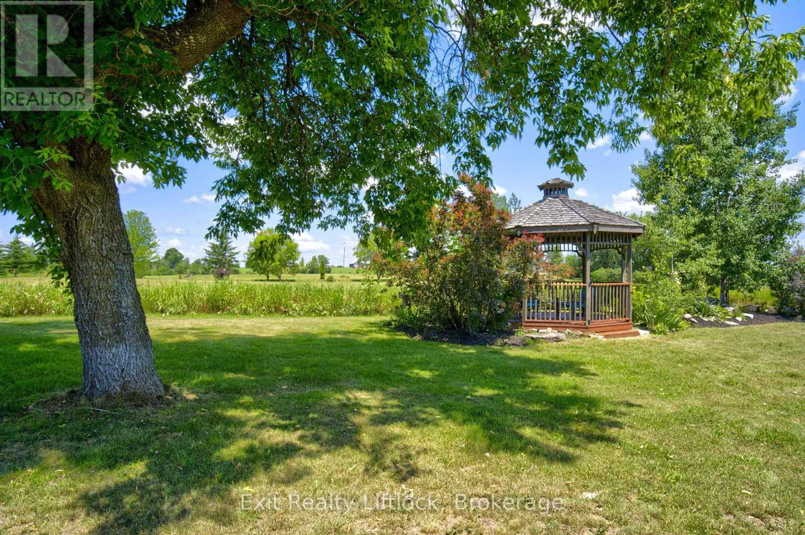 81 FOURTH LINE DUMMER ROAD S