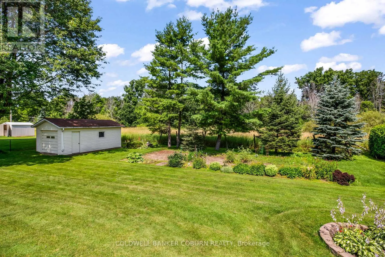 12169 LAKESHORE DRIVE