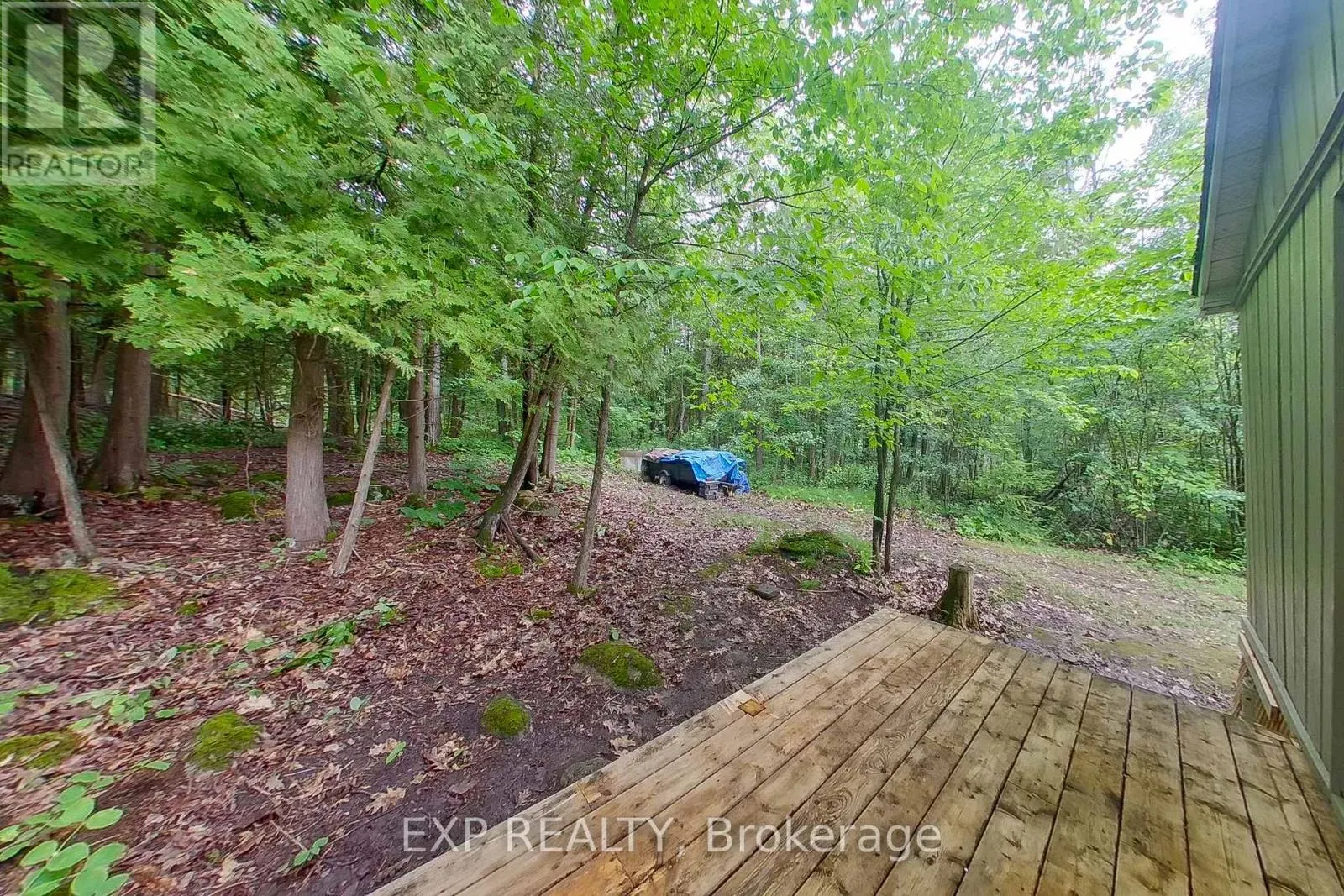 360 CEDAR AVENUE
