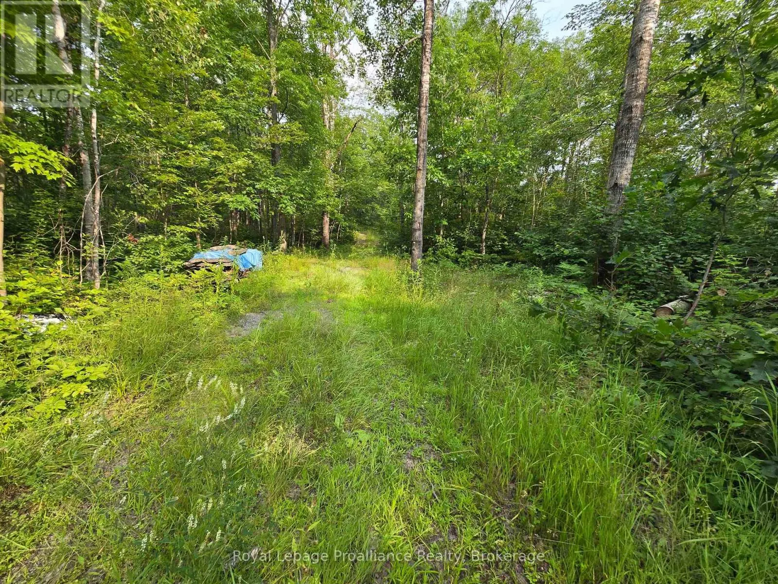 1446 FLINTON ROAD