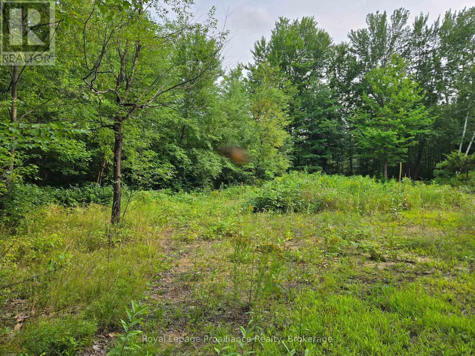 1446 FLINTON ROAD