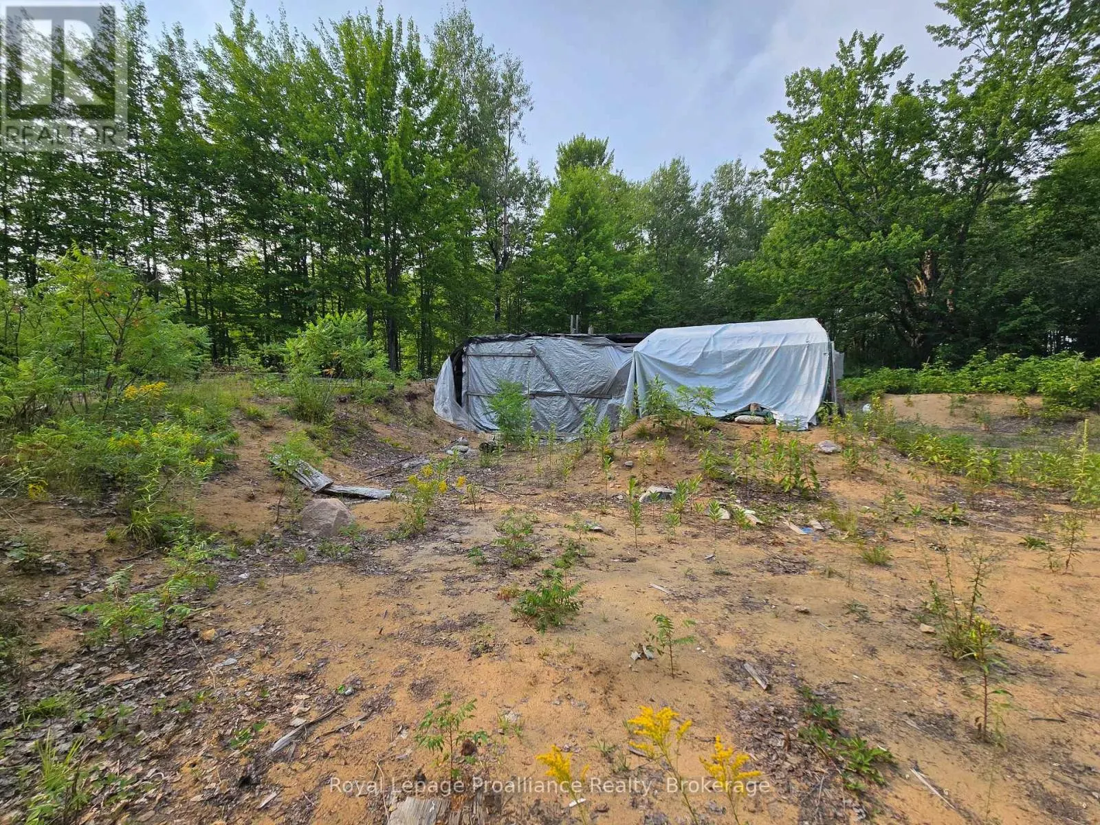 1446 FLINTON ROAD