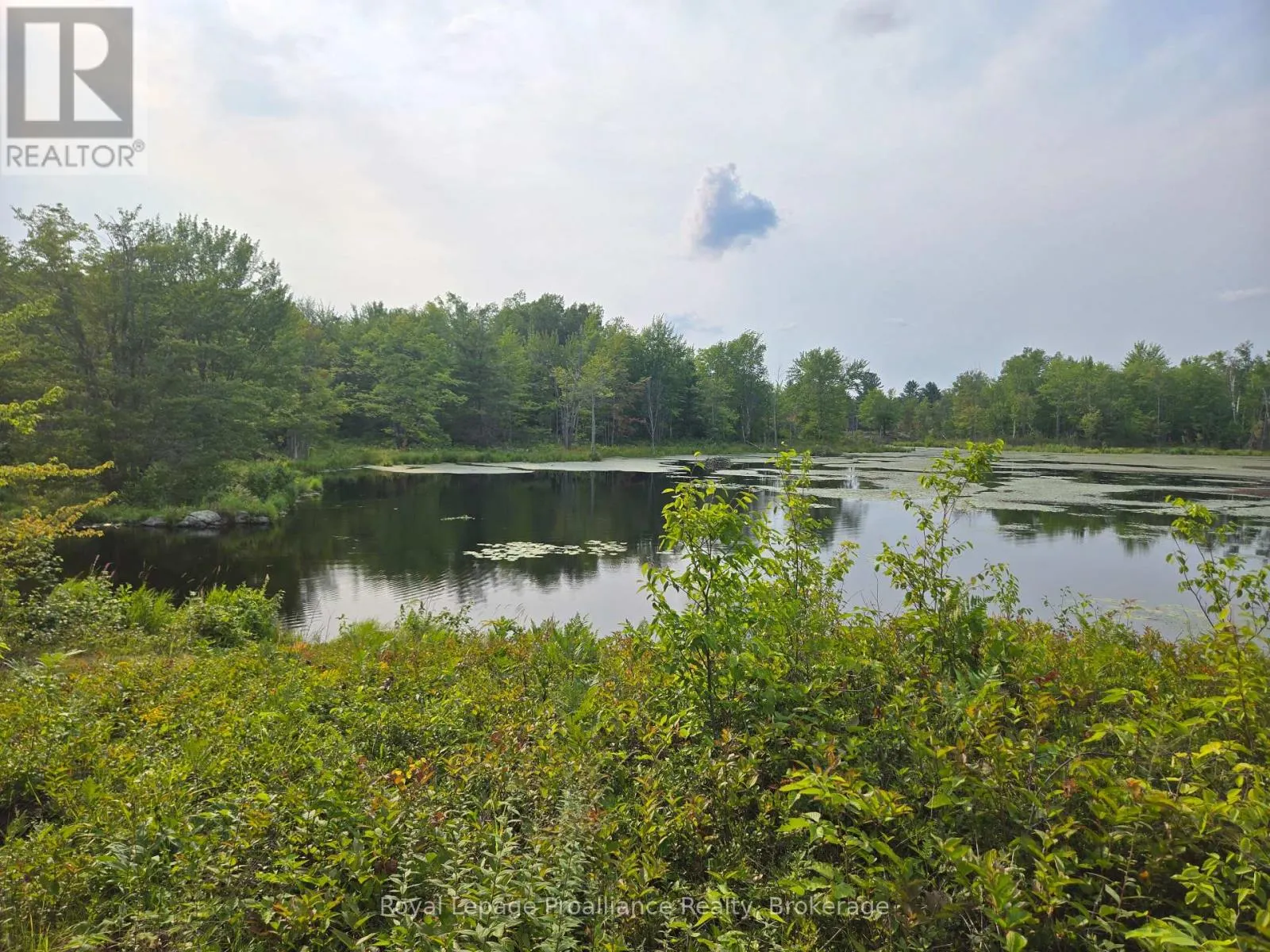 1446 FLINTON ROAD