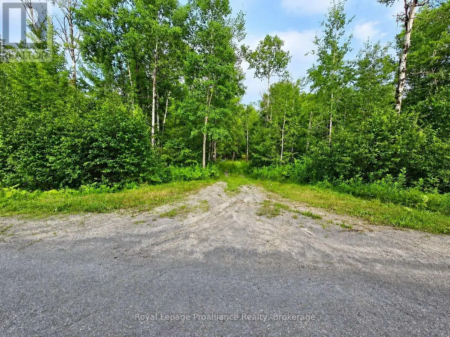 1446 FLINTON ROAD