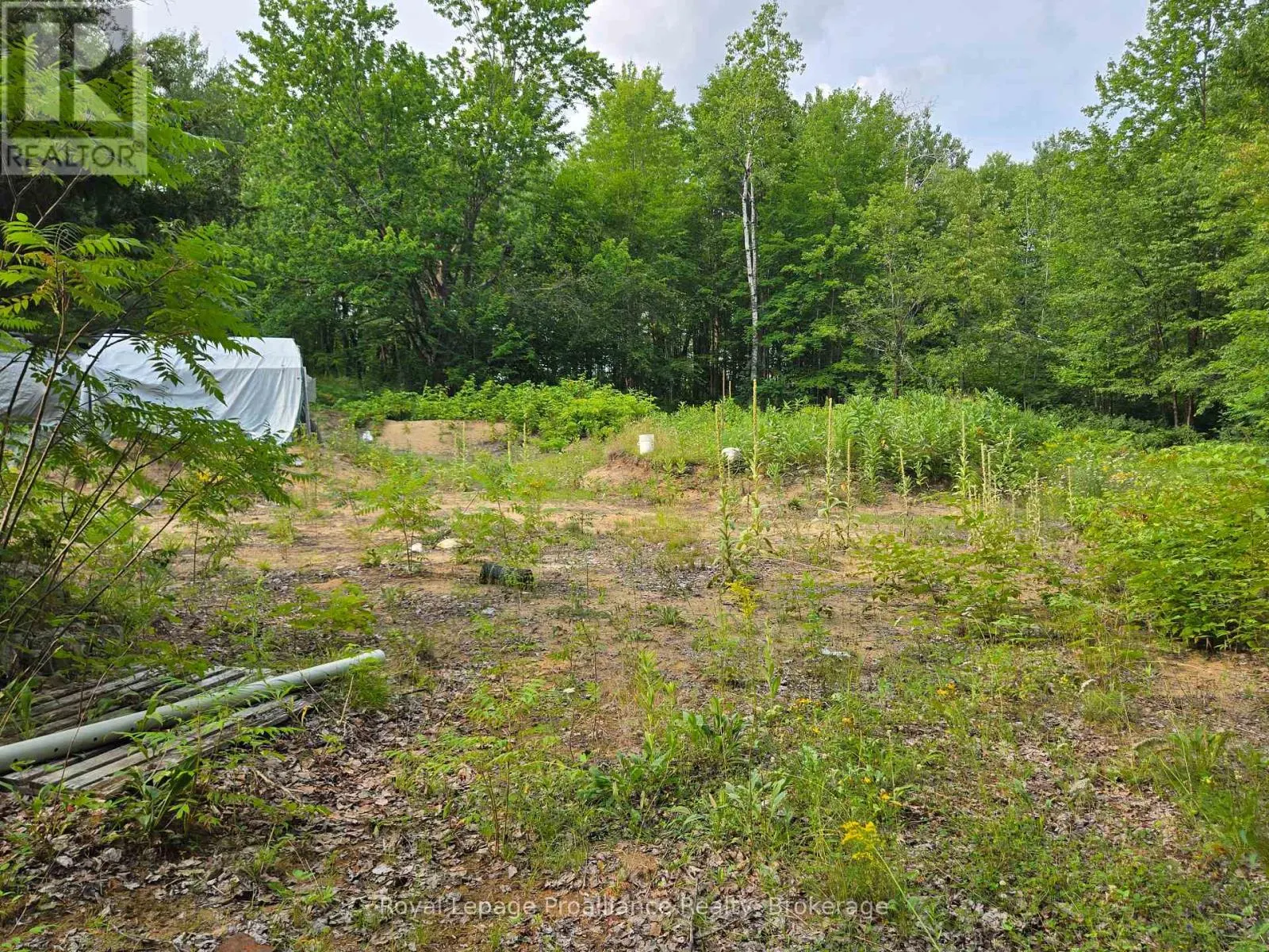 1446 FLINTON ROAD