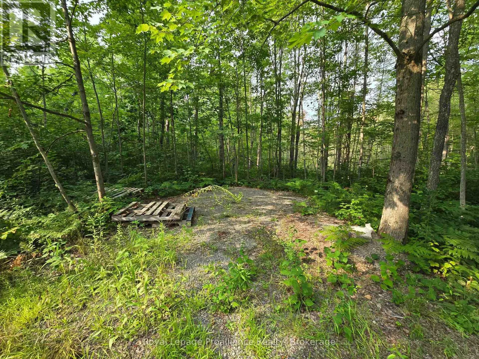 1446 FLINTON ROAD