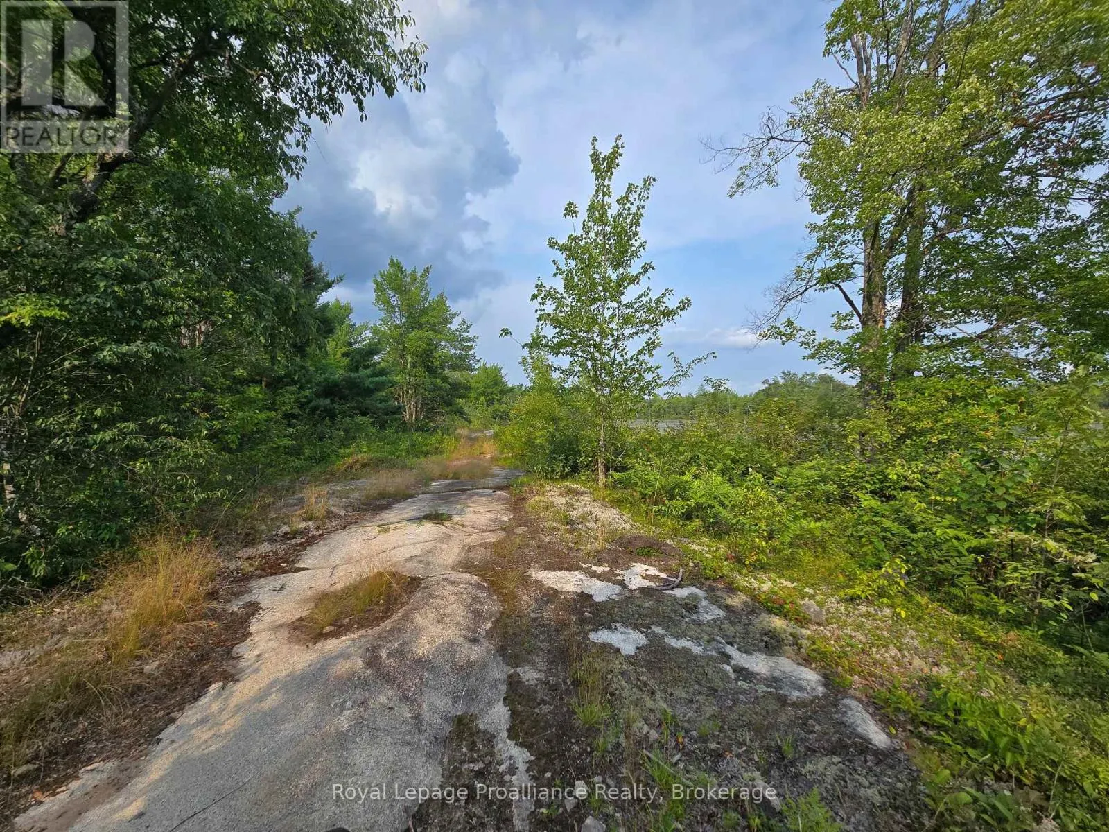 1446 FLINTON ROAD