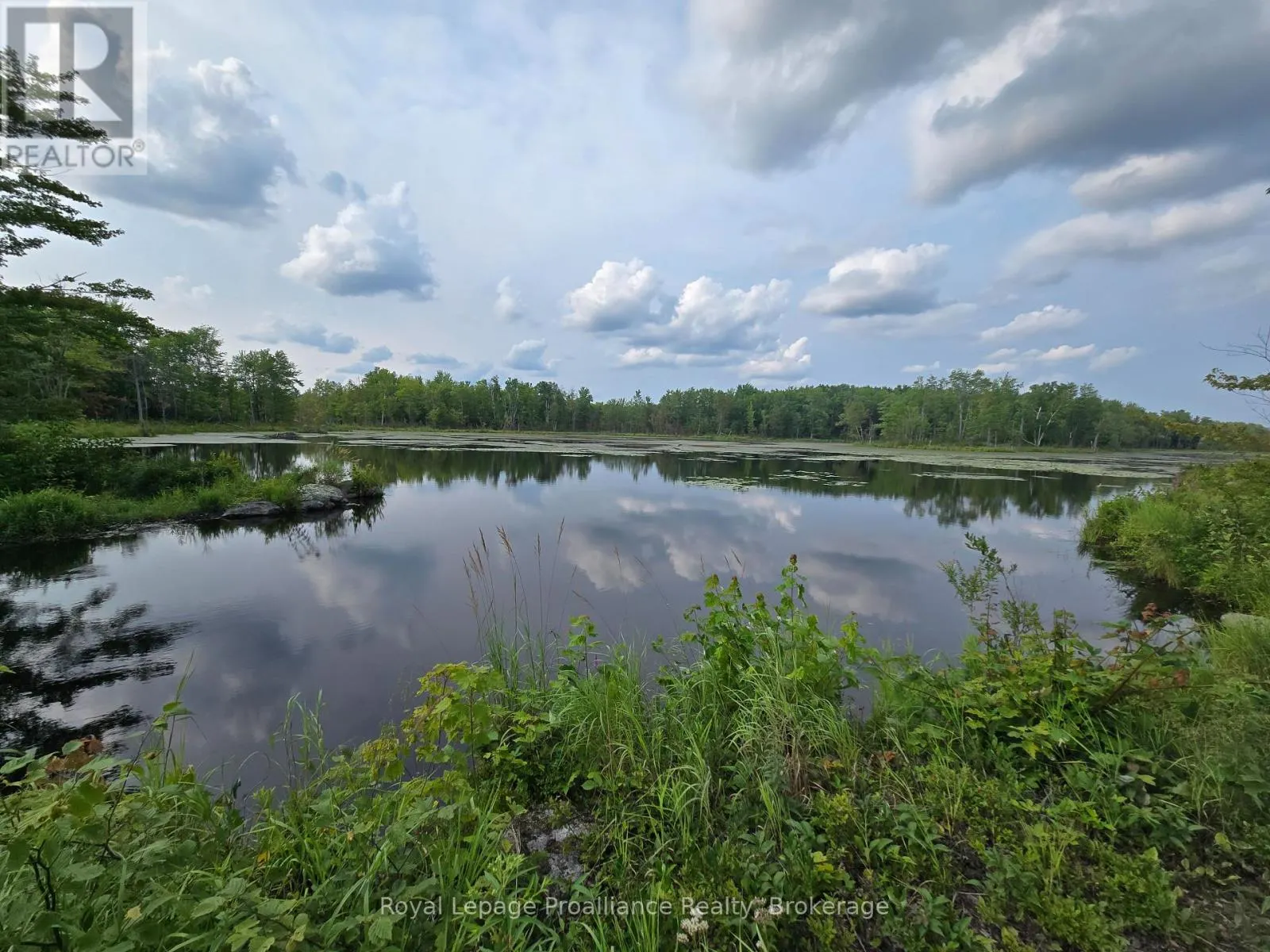 1446 FLINTON ROAD