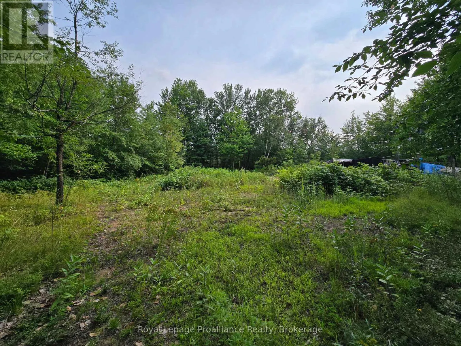 1446 FLINTON ROAD