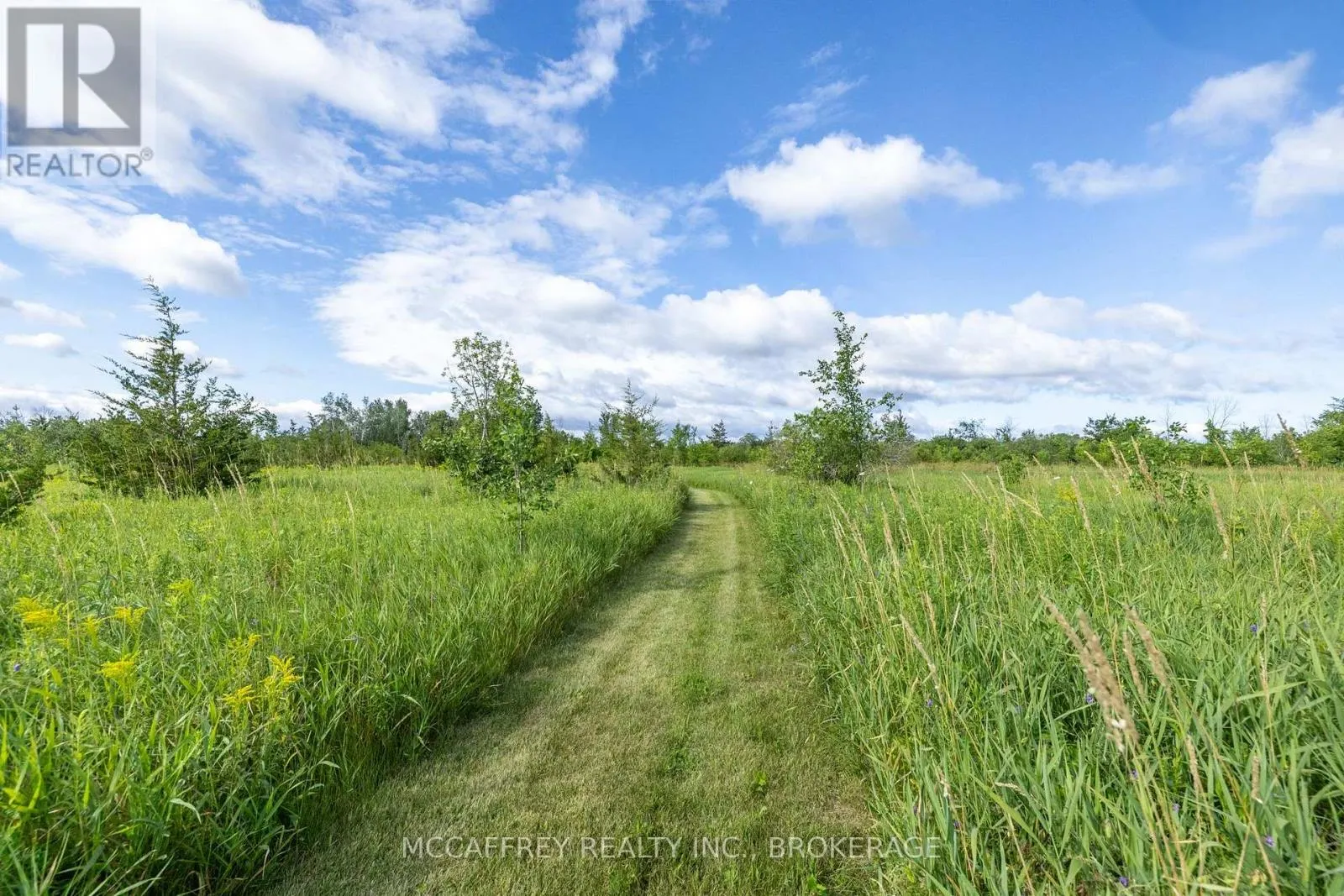 00 COUNTY RD 8