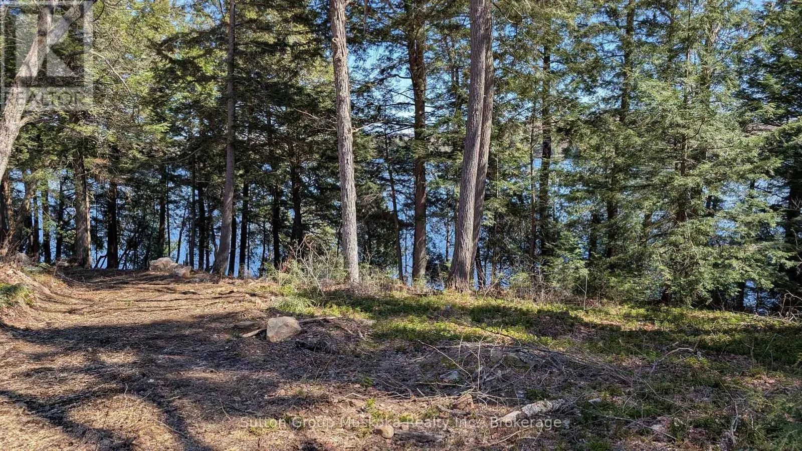 LOT 1 ESIG LANE