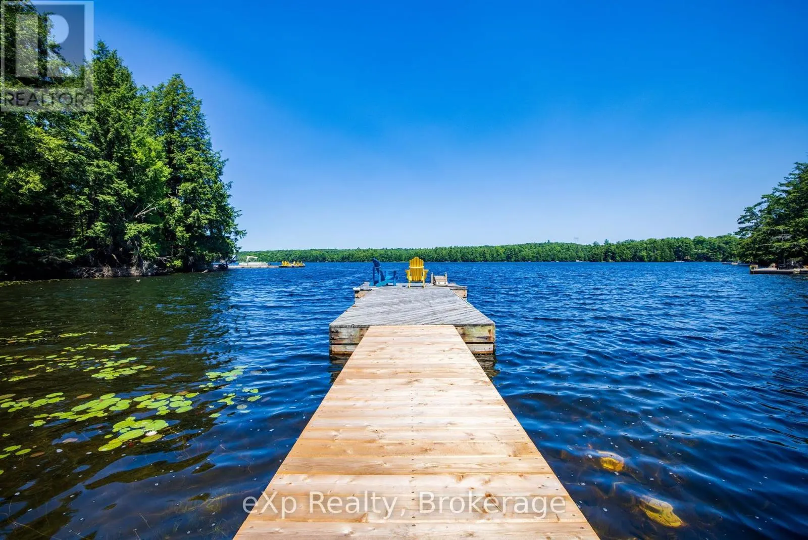 31 LOON ECHO TRAIL