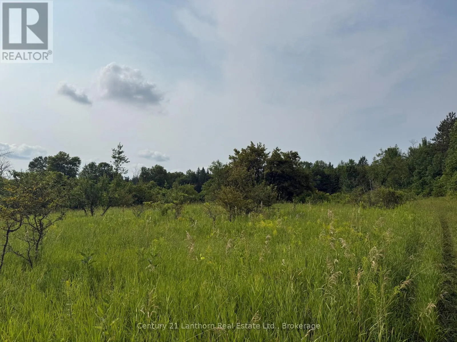 670 SCOTCH SETTLEMENT ROAD