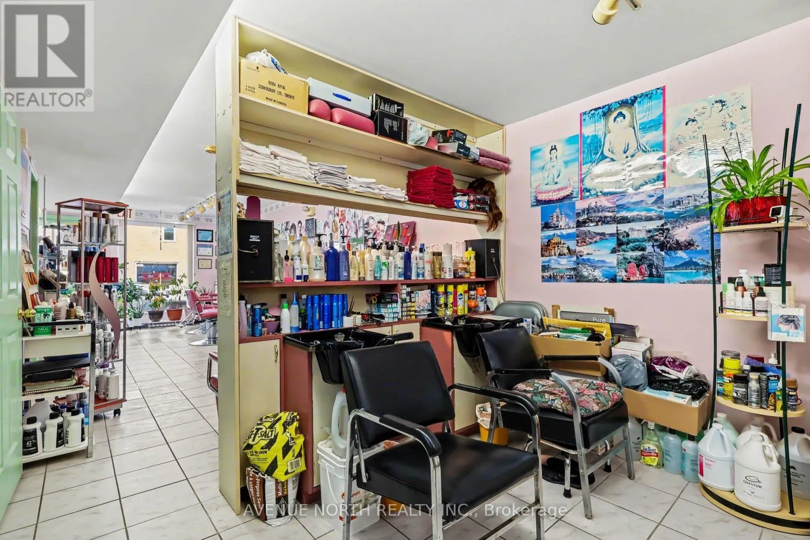 367 BOOTH STREET