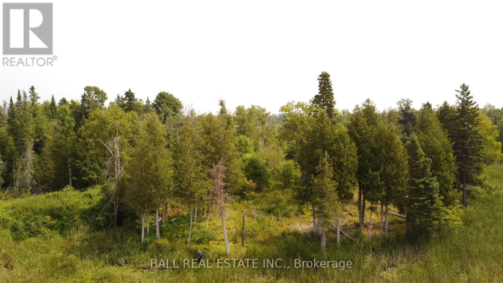 892 COUNTY RD 40