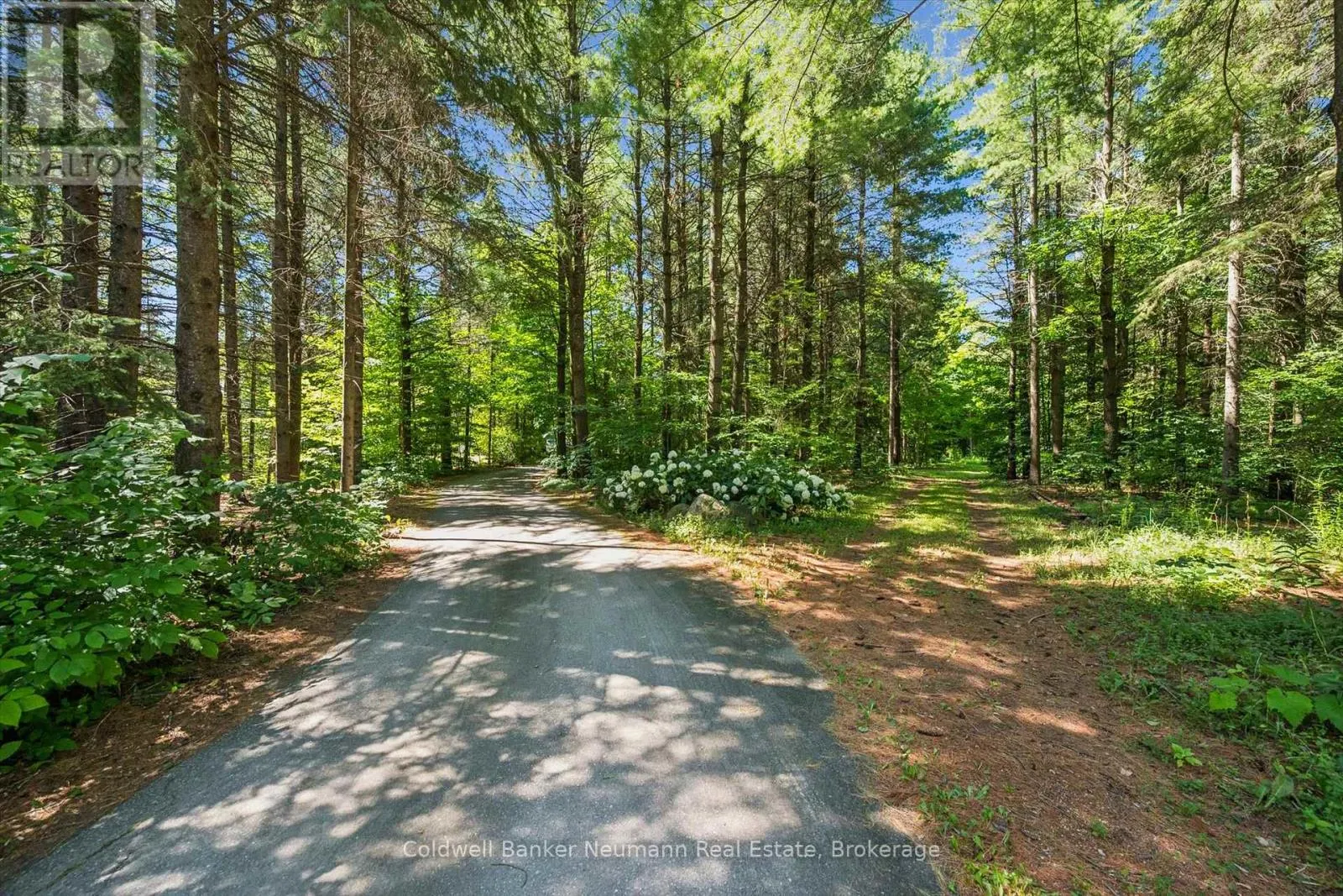 4676 CONCESSION 11 ROAD