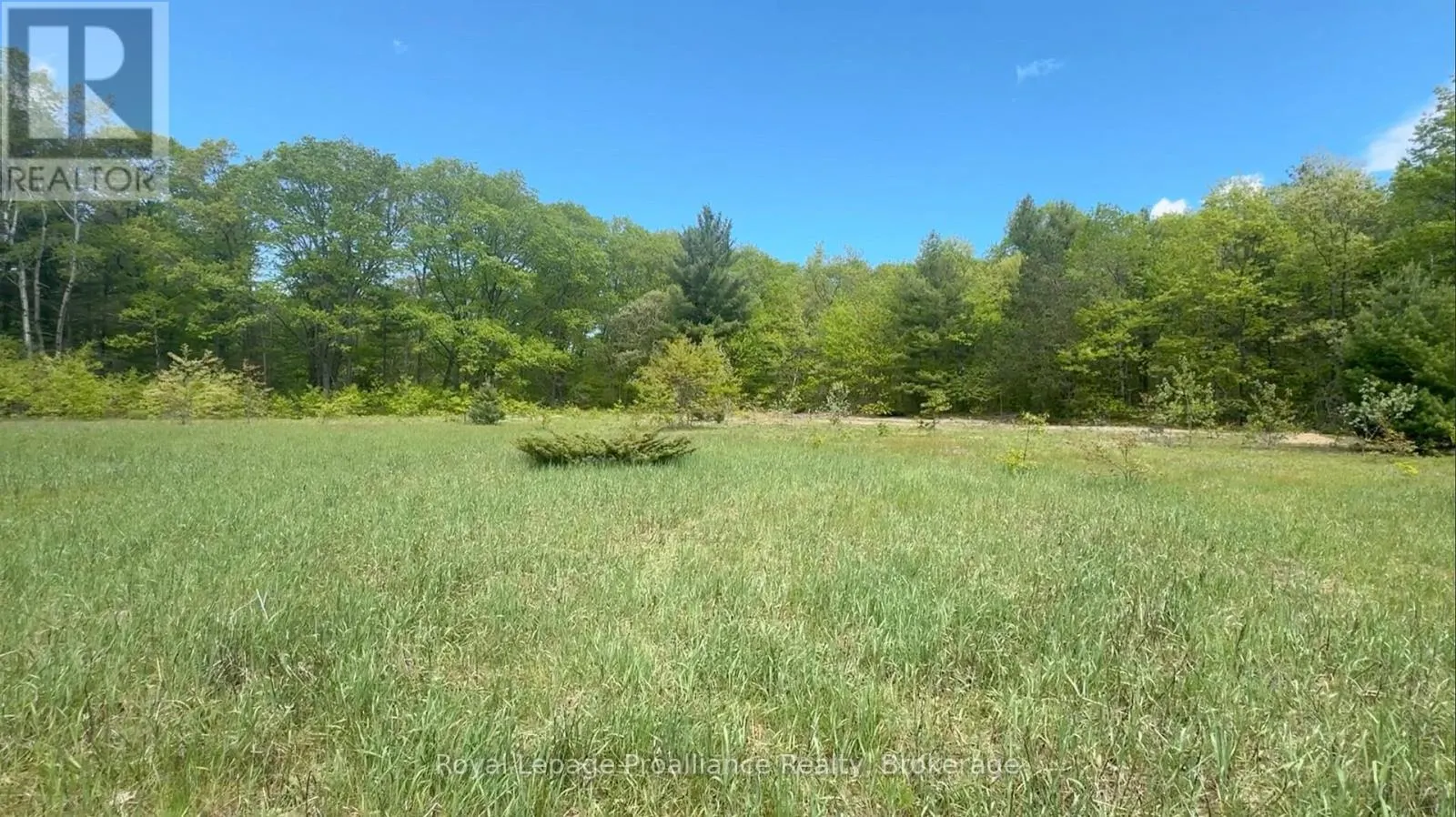 207 MIDDLE RIDGE ROAD