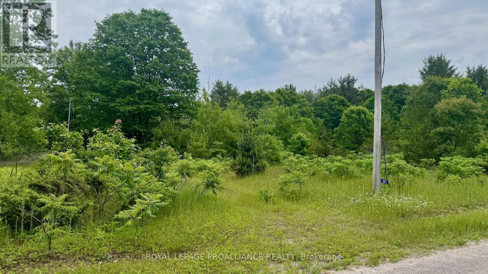 207 MIDDLE RIDGE ROAD