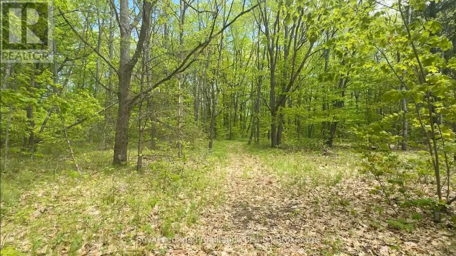 207 MIDDLE RIDGE ROAD