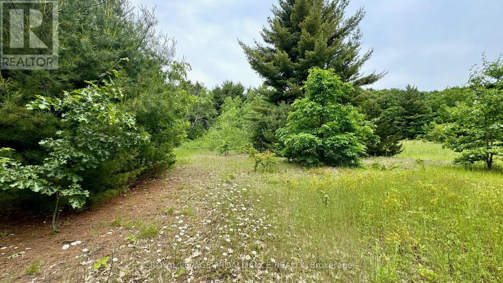 207 MIDDLE RIDGE ROAD