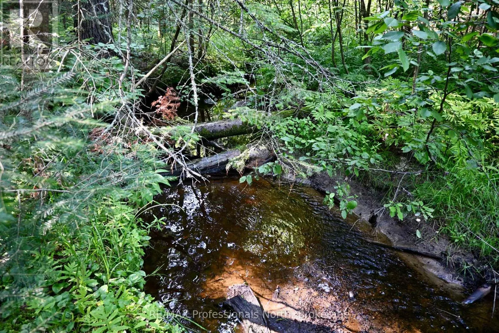 242 DEER LAKE ROAD