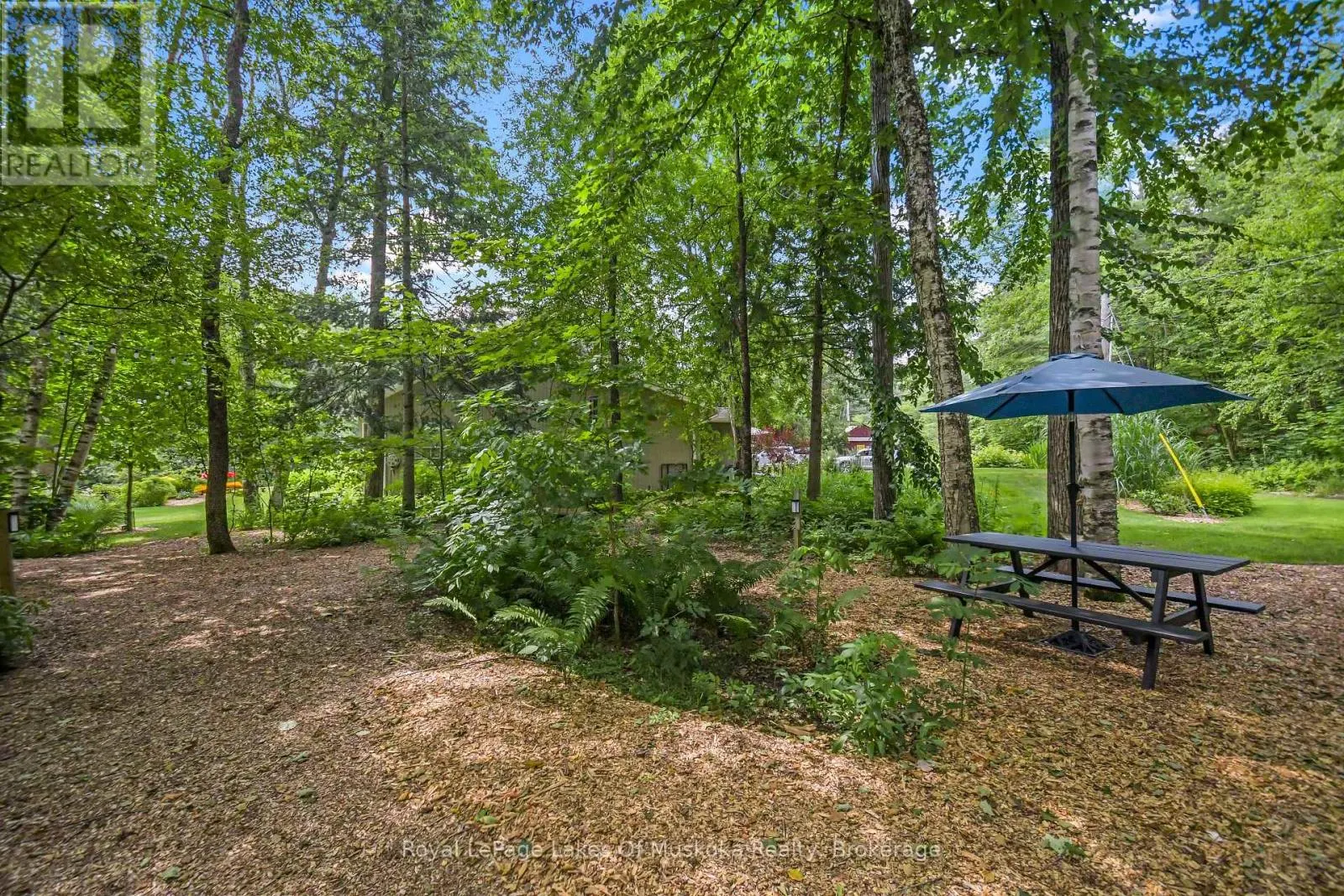 15 SUMMER LANE