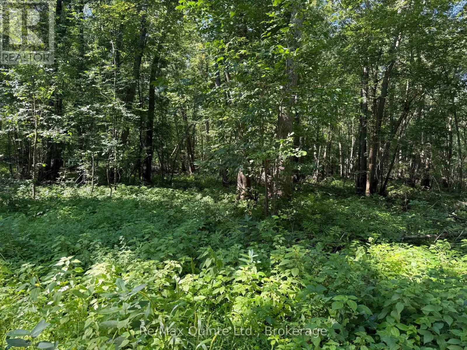 0 TRILLIUM LANE