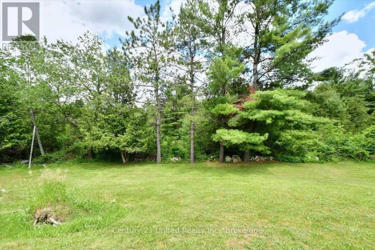 1541 COUNTY ROAD 4