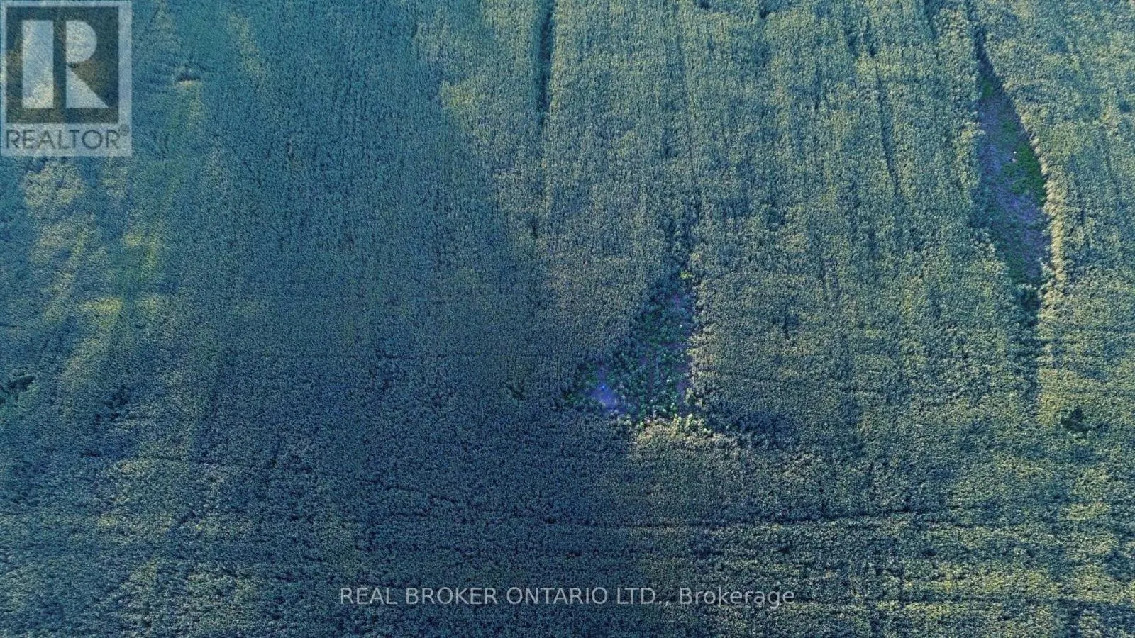 LOT 5 RODNEY LANE