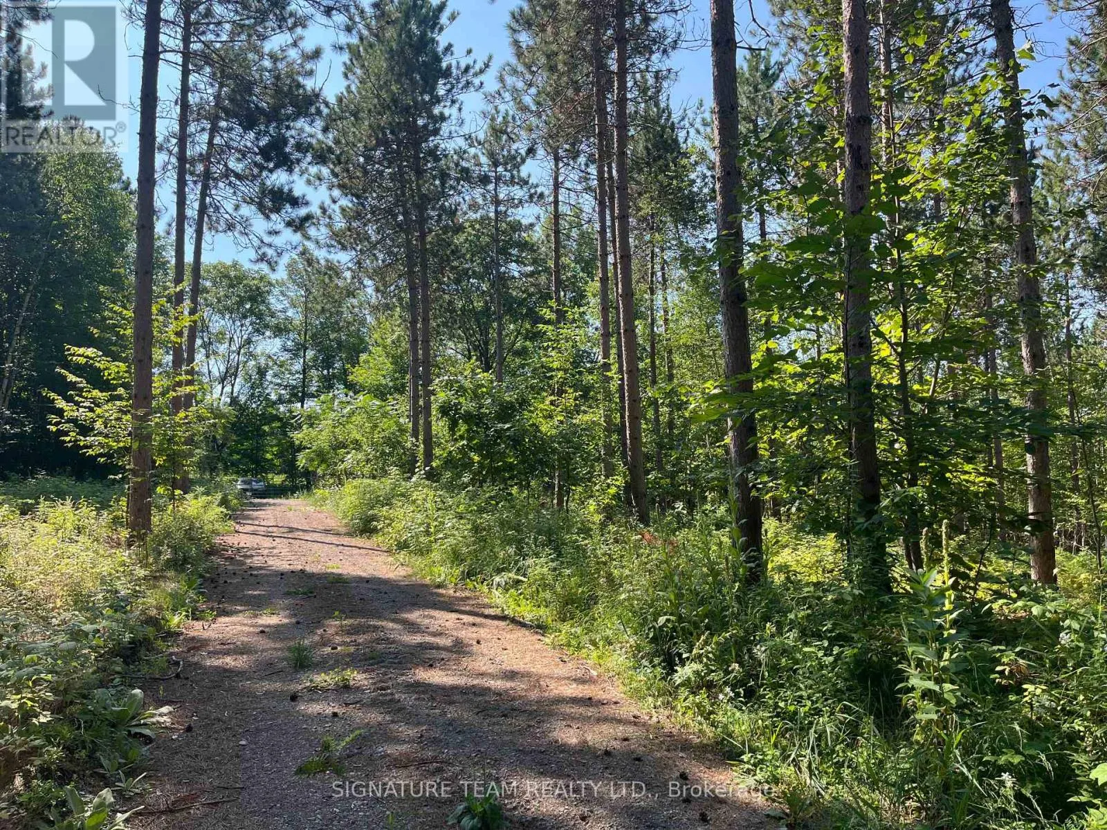 359 DITTBURNER ROAD