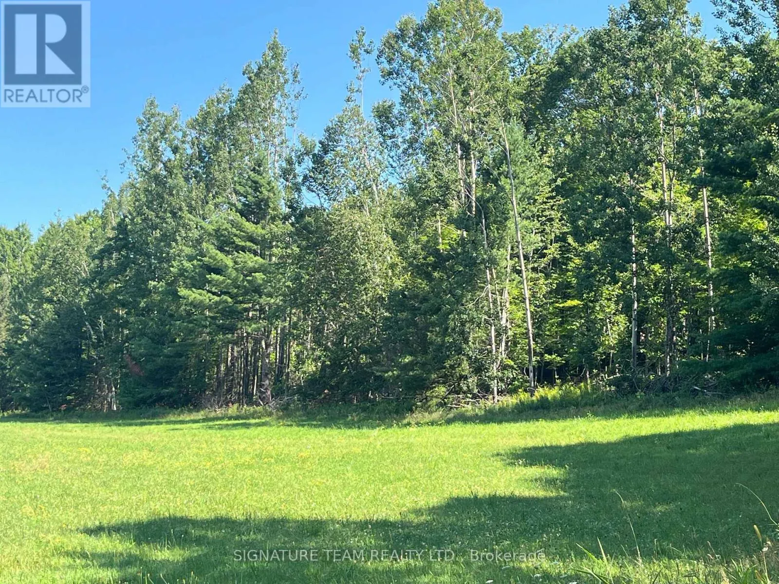 359 DITTBURNER ROAD