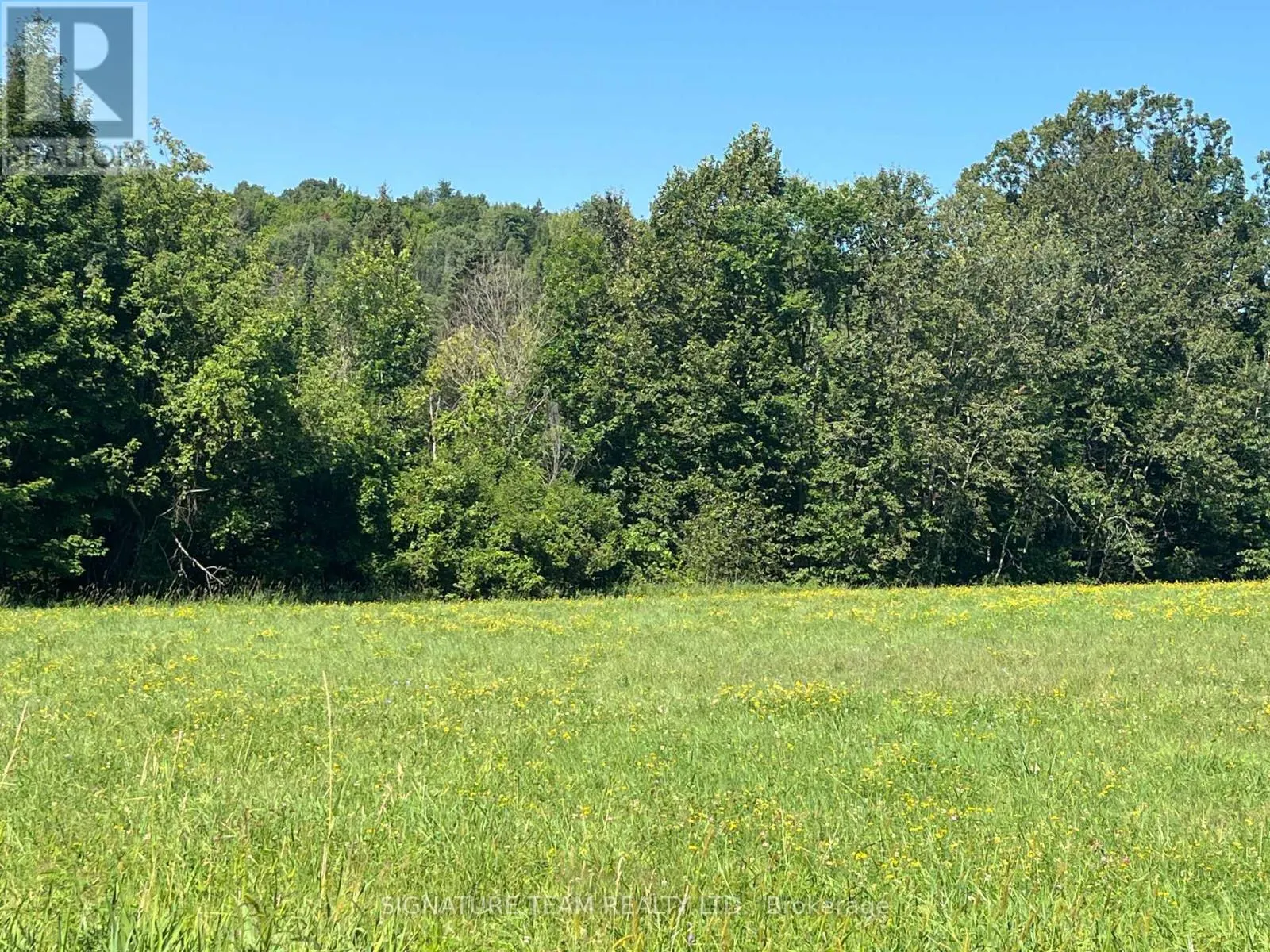 359 DITTBURNER ROAD